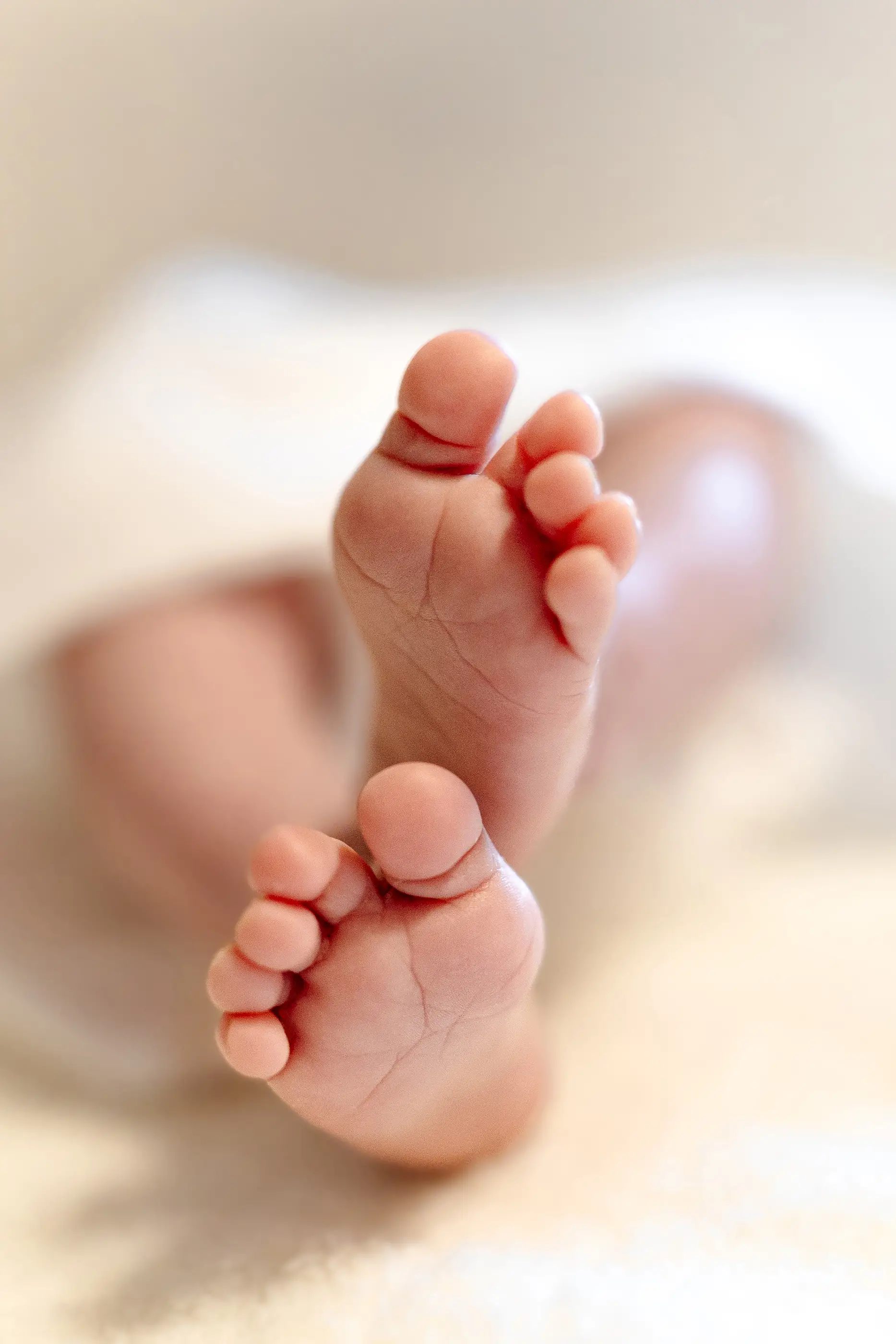 Detail-Babyfuesse-Neugeborenenshooting
