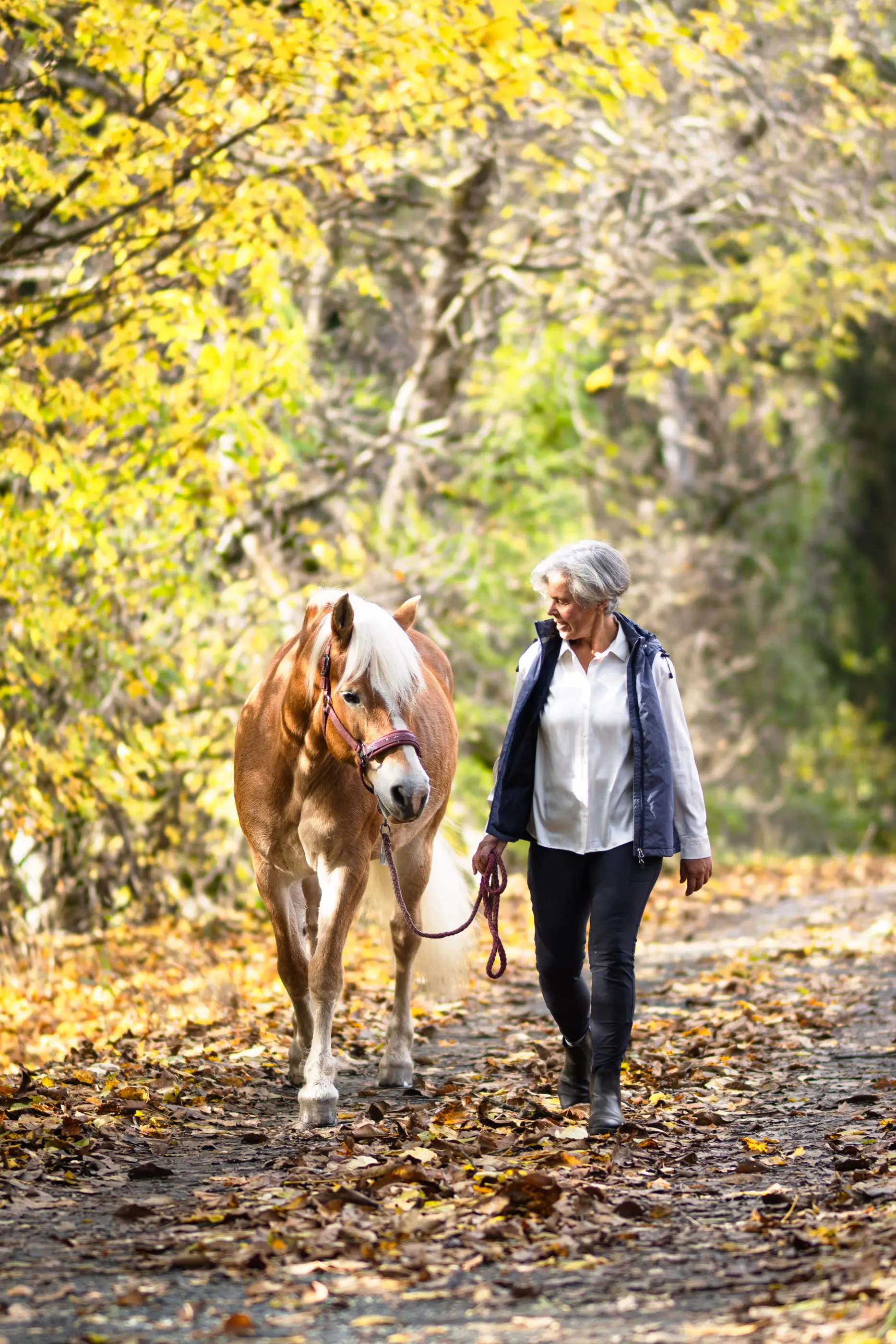 Pferdefotografie-Portraitshooting-mit-Pferden