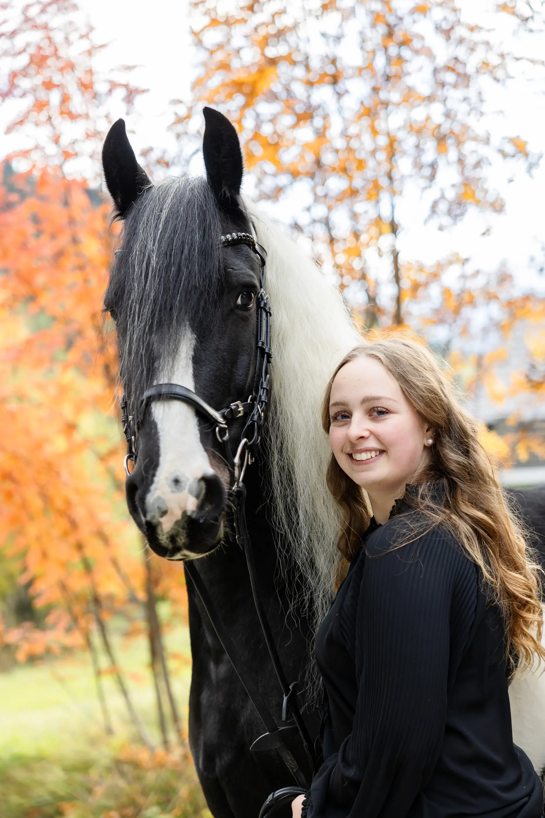 Pferdeshooting-Portraitshooting-Outdoor